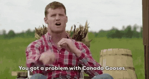 Ford Bronco Video: Bad batch Broncos being moved from the airport/dirt pile to be worked on? letterkenny-canada-gooses