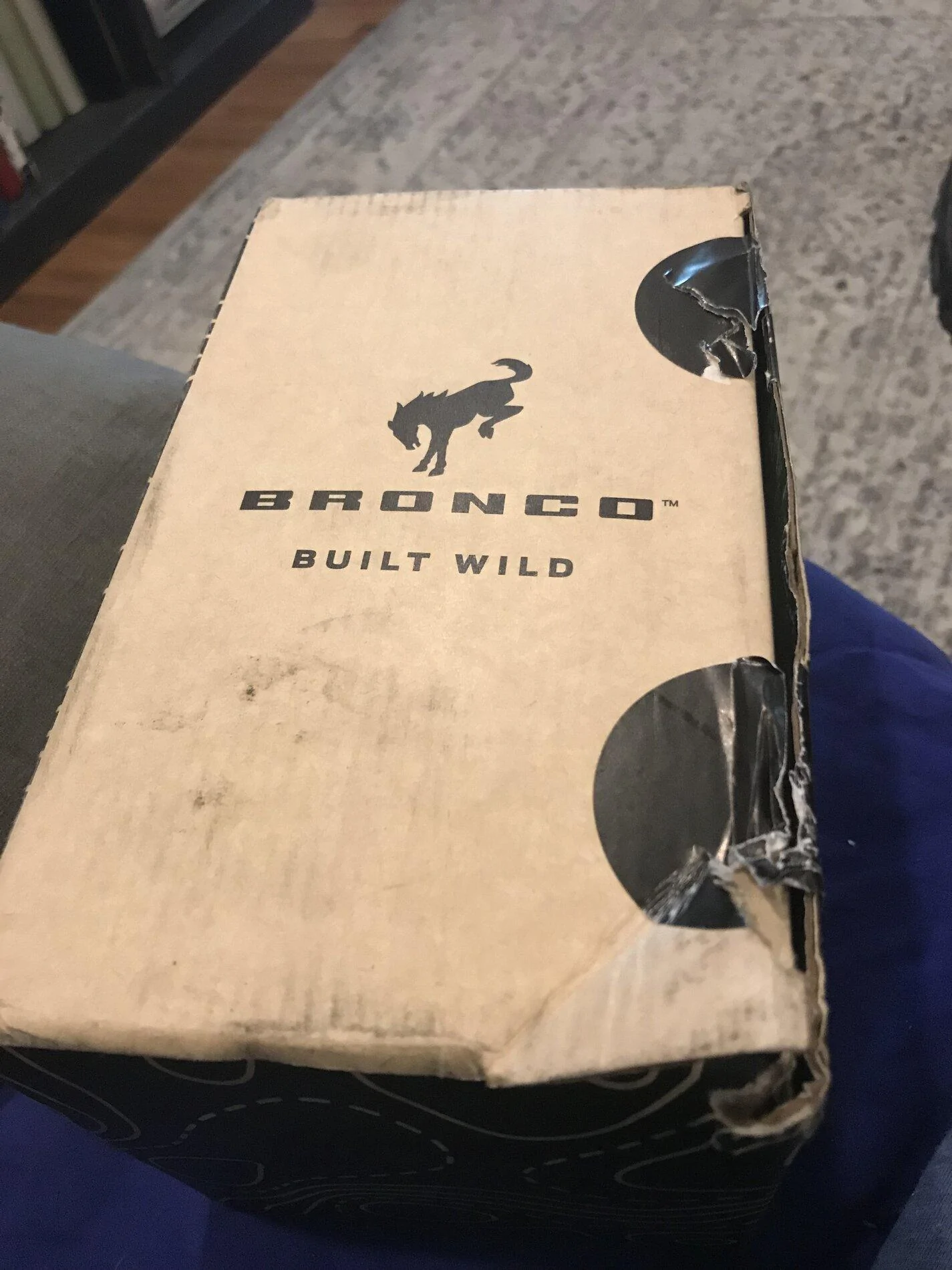 Ford Bronco Hammock swag gift thread %Q2QH1vLS8aenYZNBkq+s