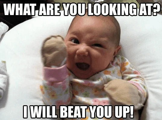 Ford Bronco First Edition Bronco Thread Funny-Baby-Memes---what-are-you-looking-at