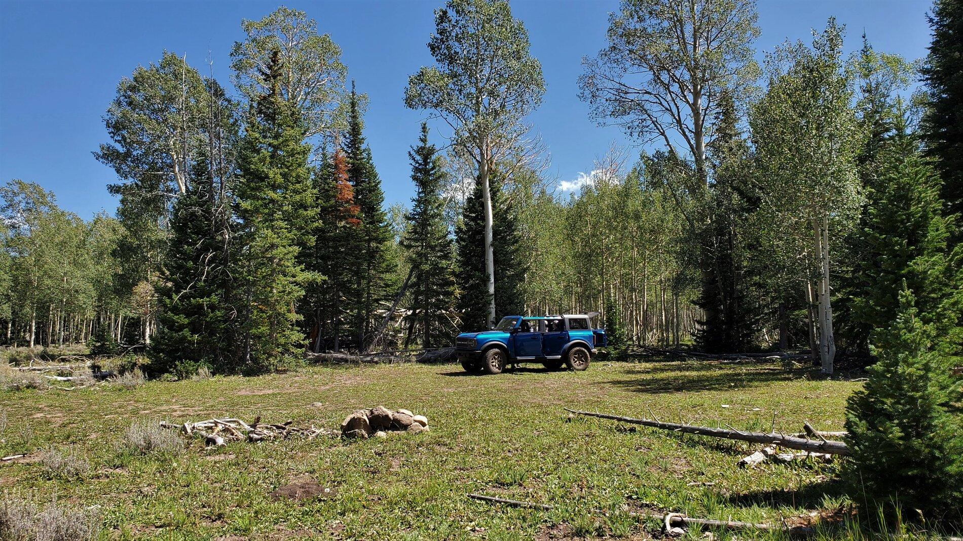Ford Bronco VELOCITY BLUE Bronco Club Bronco1
