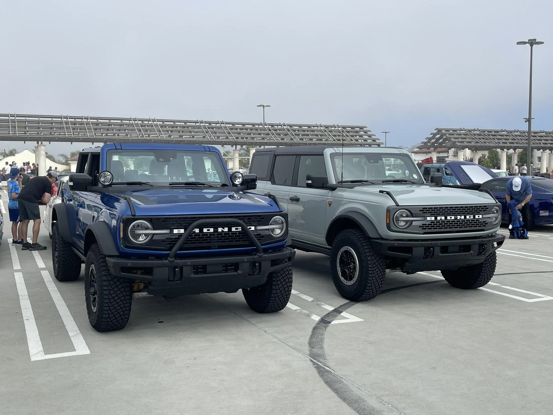 2270ED49-1BD6-4652-8309-8C44ADE719C7.webp