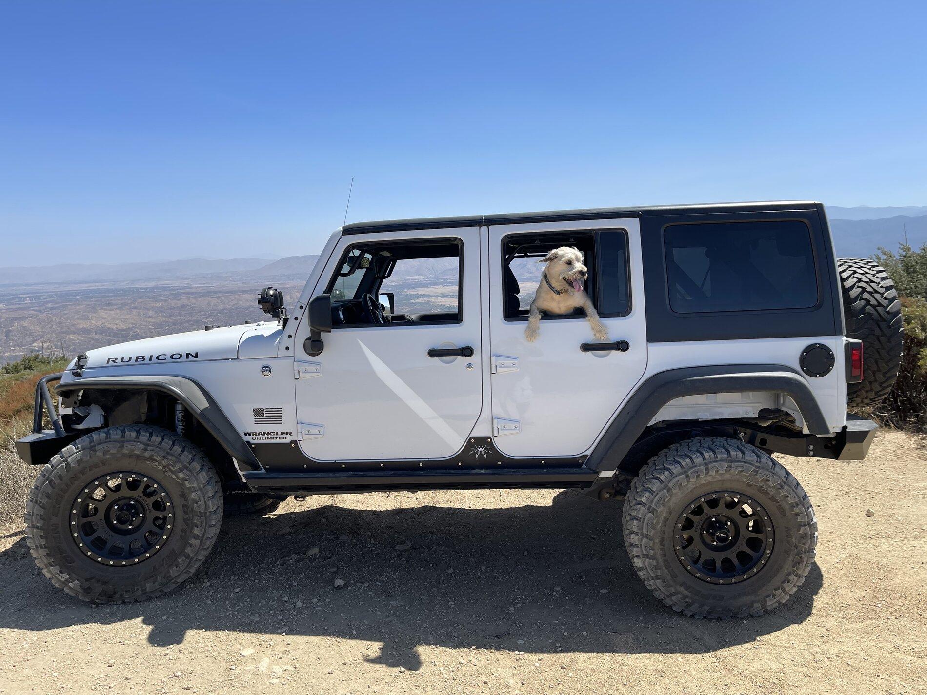 Ford Bronco Dogs Getting In and Out 3EBA35F2-4250-4778-A19E-99ED90F3D46C