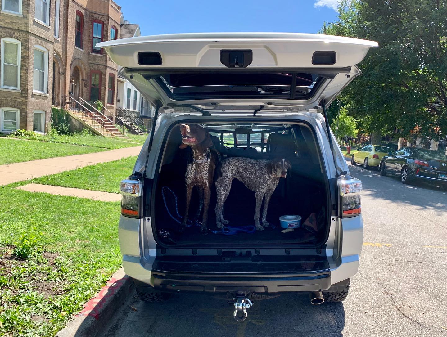 Ford Bronco Dogs Getting In and Out 68925884_10218159439391118_4666395943204028416_n