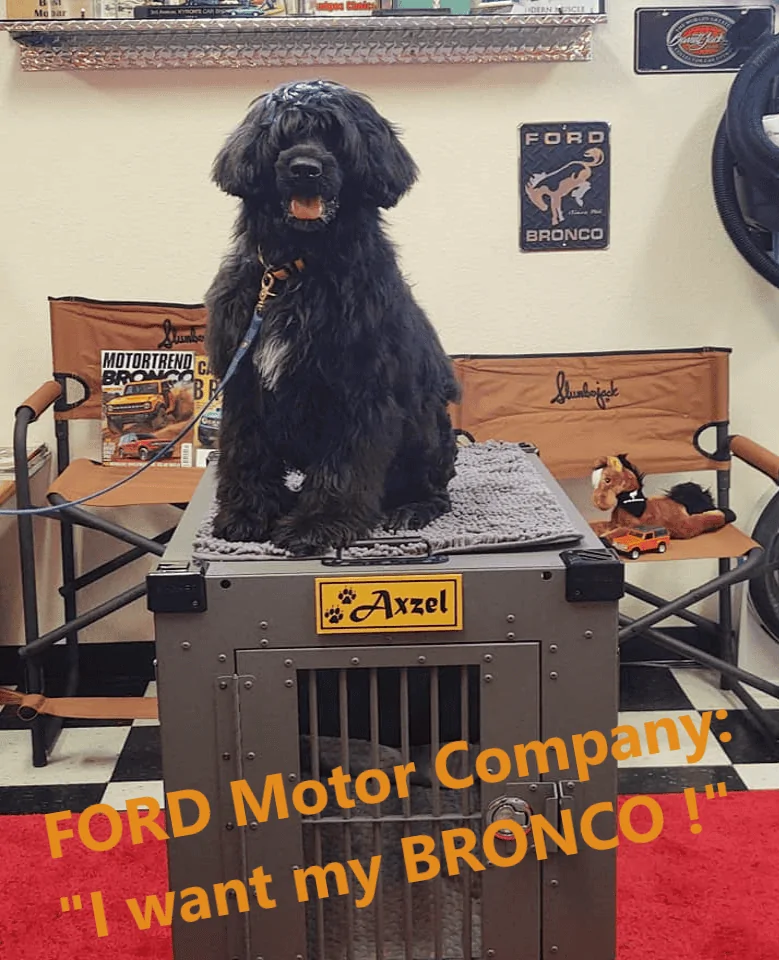 Ford Bronco Dogs Getting In and Out AxzelFORD2