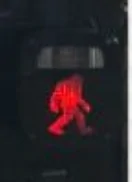 Ford Bronco BaseSquatch badging is awesome! 1630445515339
