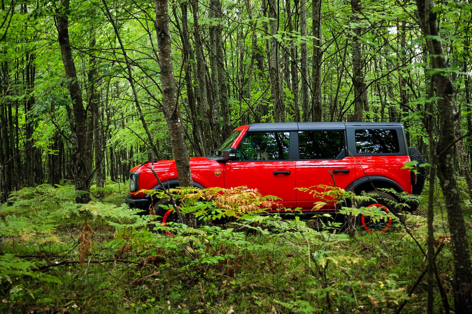 Ford Bronco Pure Joy! Sharing Some Positive Vibes 1C1CCA21-CC4C-40EA-BAF9-E25891827325