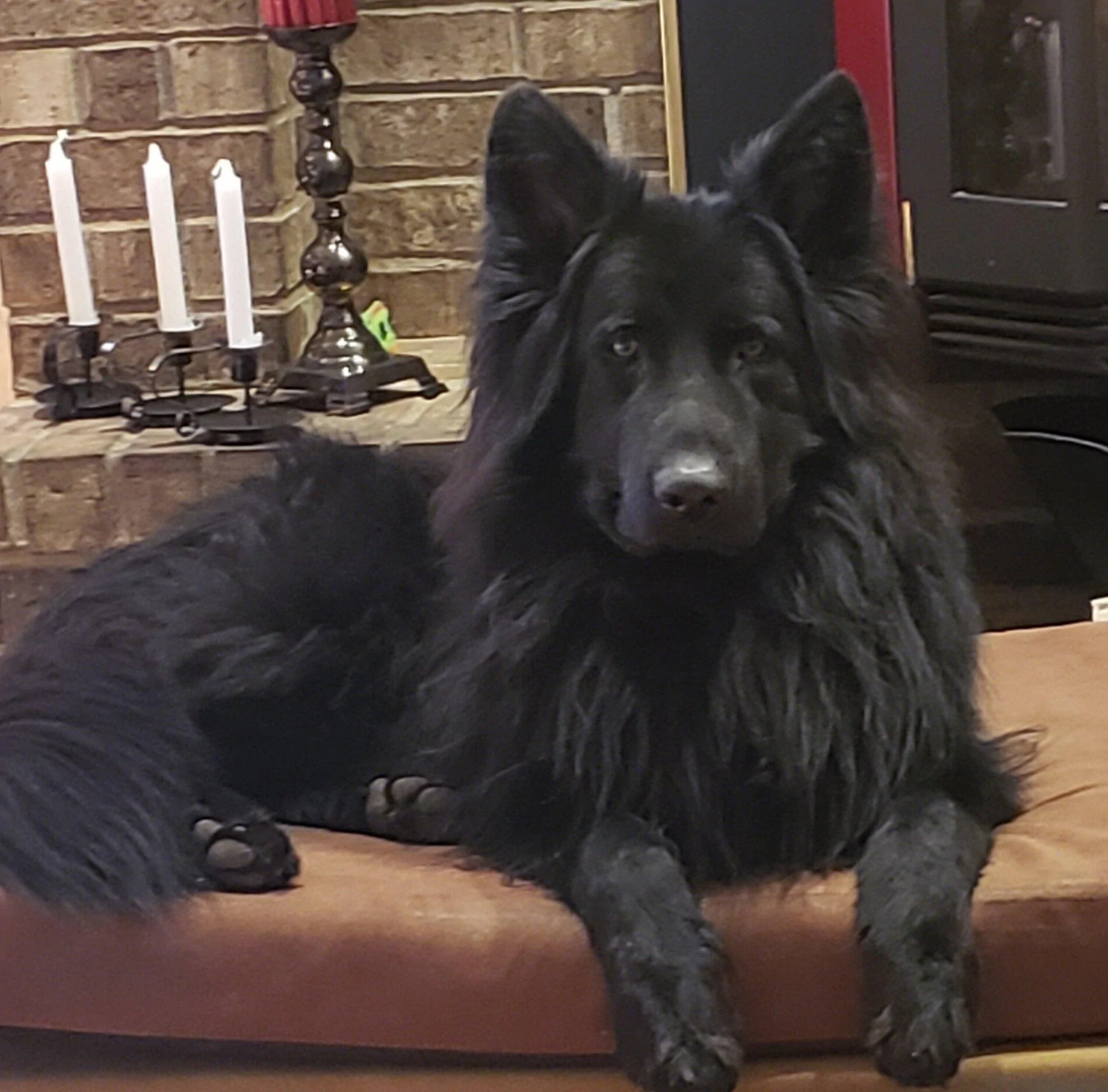 20201227_112256.jpg
