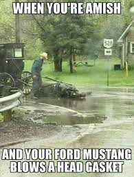 1630624511604.jpeg