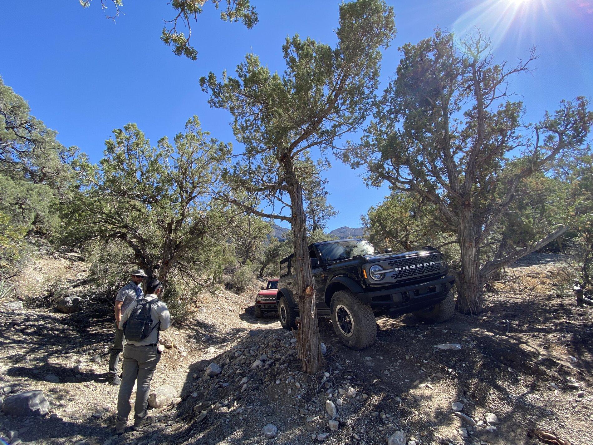 Ford Bronco Off-Rodeo Nevada Mt. Potosi Picture Dump 47A38E7D-259E-45B9-A1D4-F93AFB402DA3