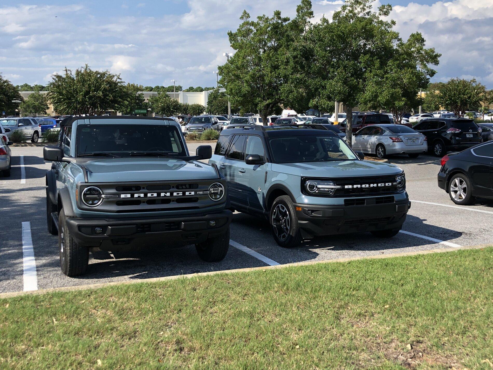 Ford Bronco Found a little friend today 261777FC-648E-4C7D-B50D-530CBC20B46D