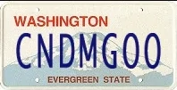 Ford Bronco ERUPTION GREEN Bronco Club 1616090688038