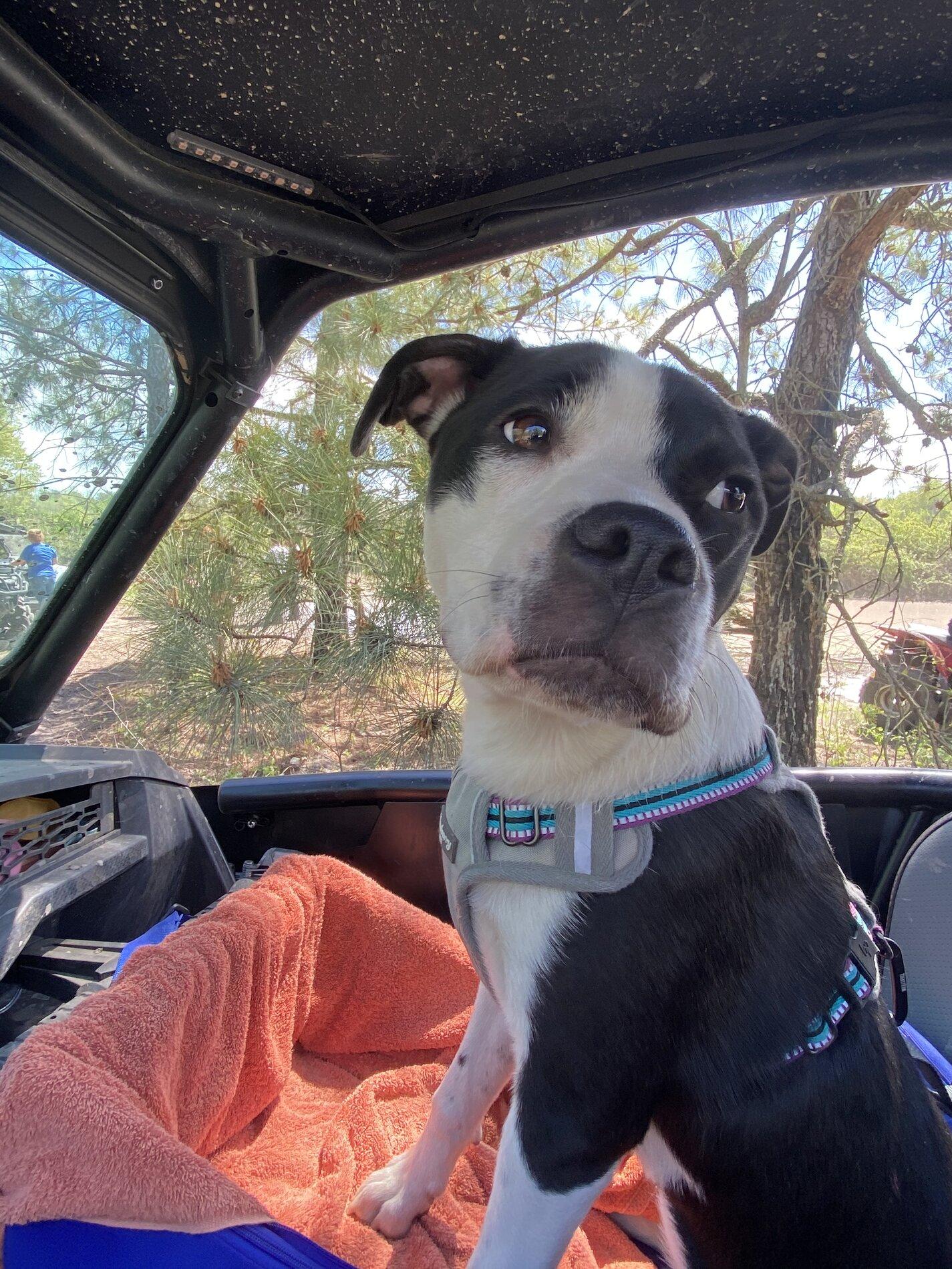 Ford Bronco Moab Off Roadeo is awesome! BE687792-28C9-4E72-90D9-AEE34F4E9542