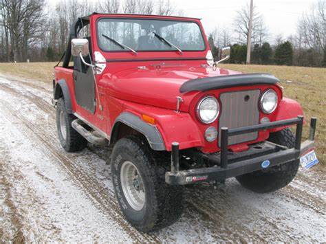 Ford Bronco True Brushguards OIP