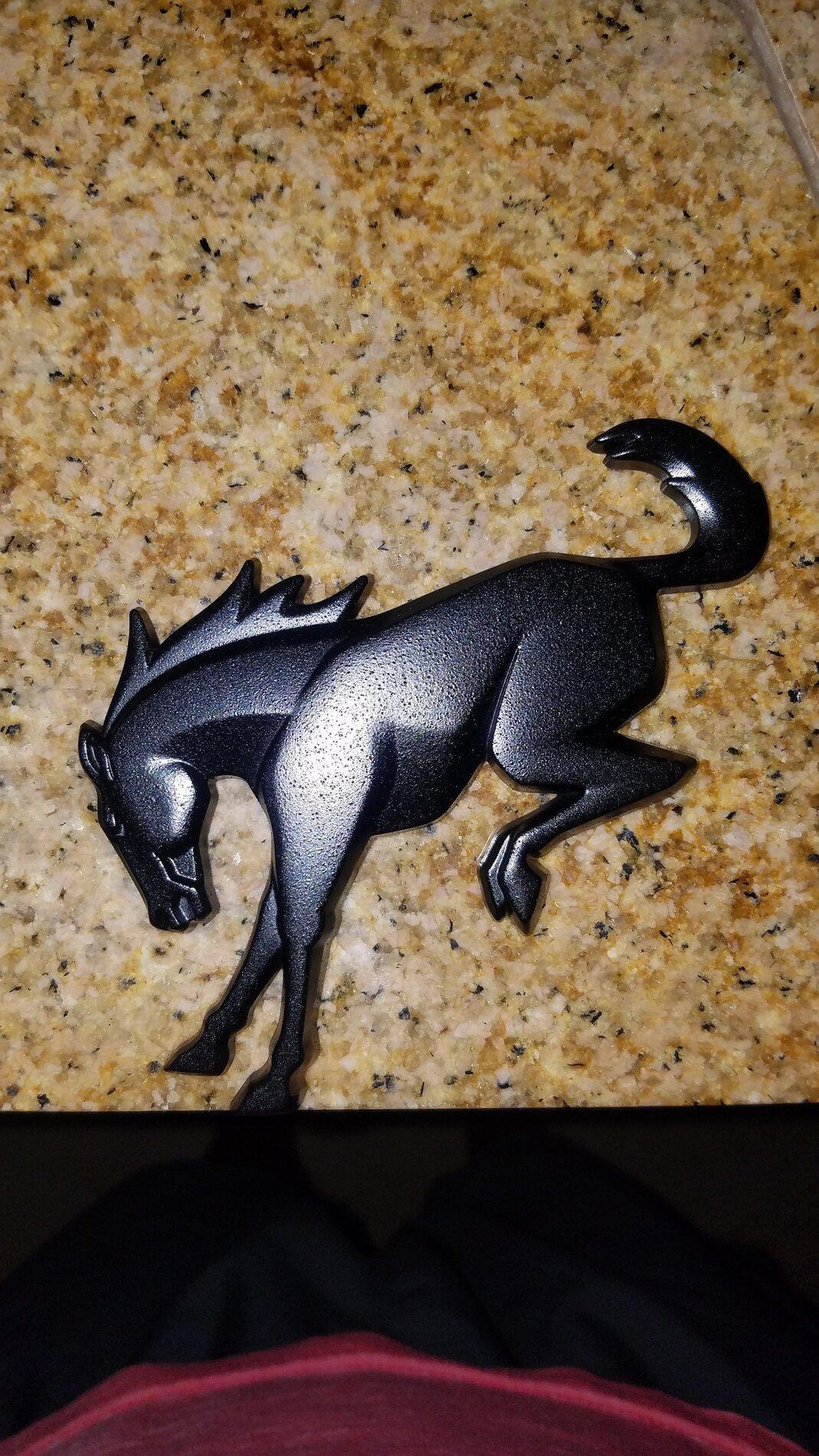 Ford Bronco Painted my bronco emblem black.. 20210915_222057