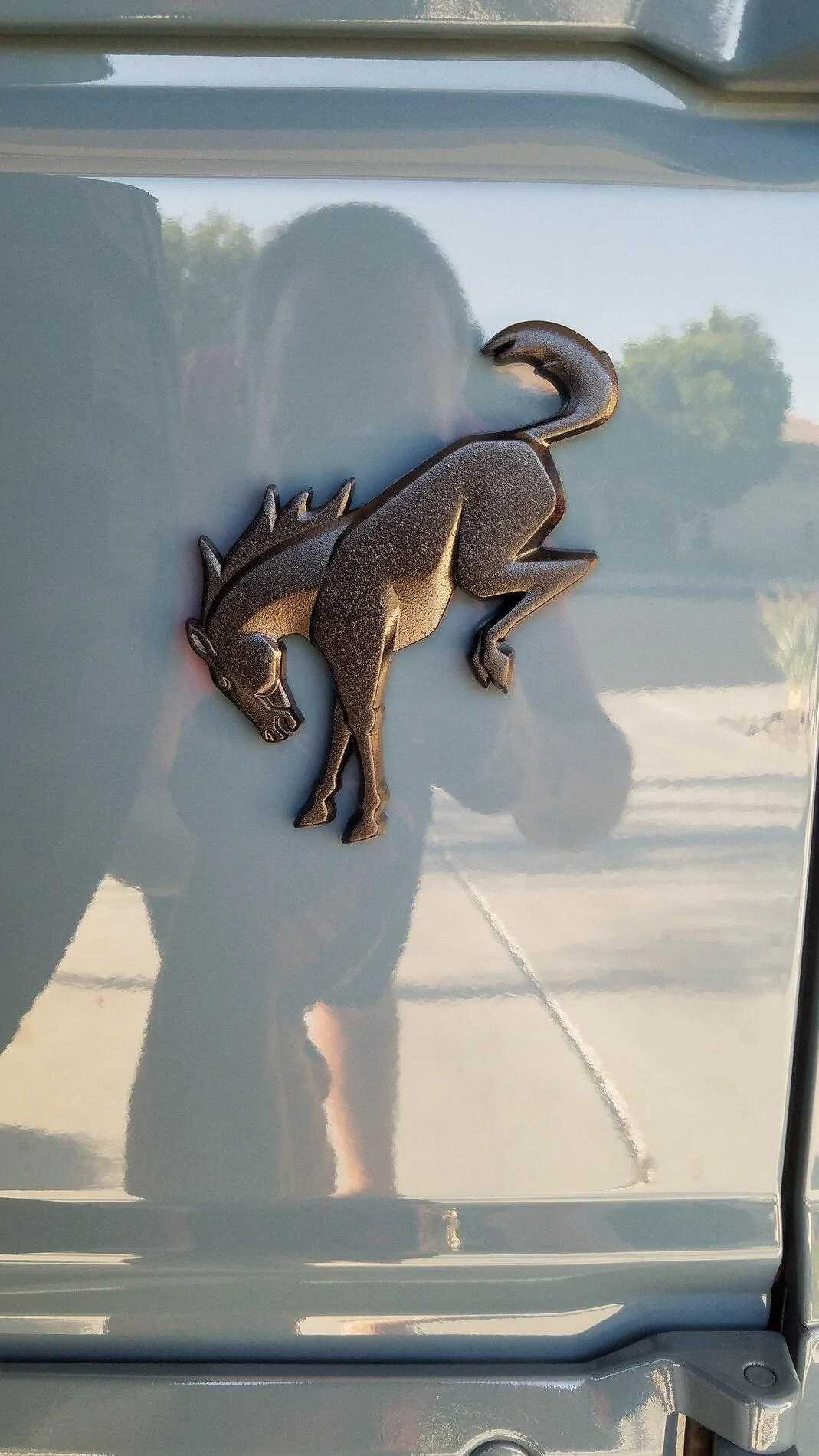 Ford Bronco Painted my bronco emblem black.. 20210916_170903