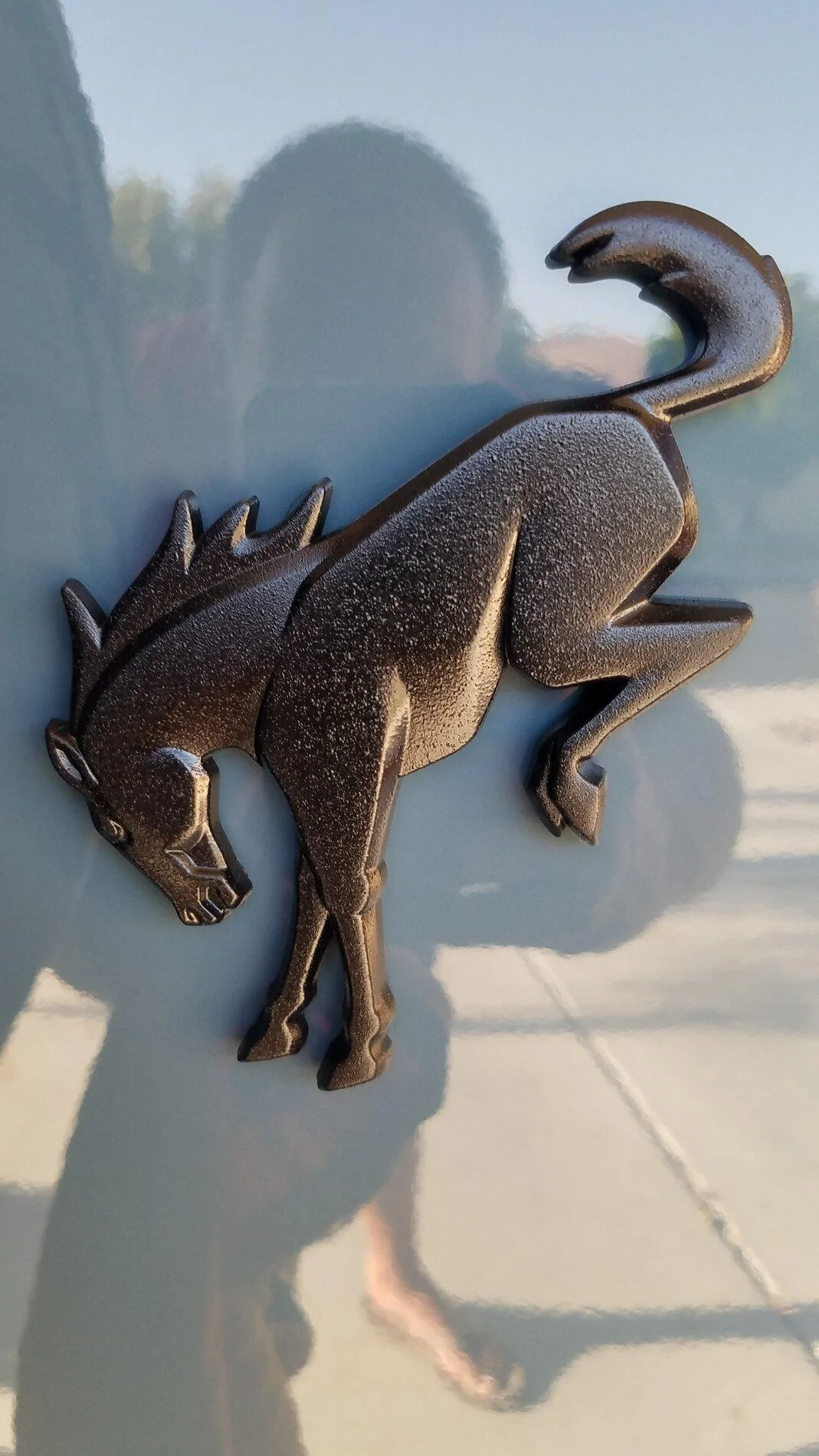 Ford Bronco Painted my bronco emblem black.. 20210916_170907