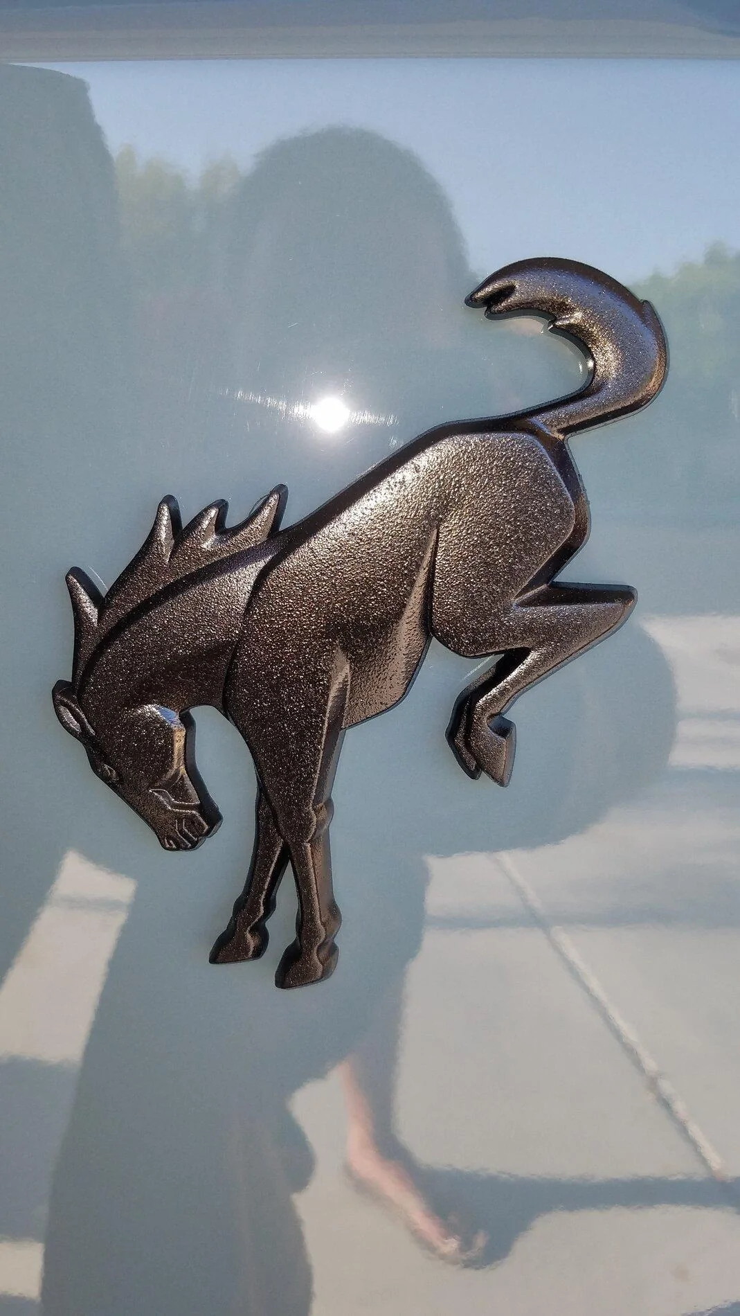 Ford Bronco Painted my bronco emblem black.. 20210916_170915