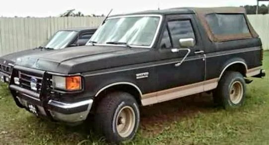 Ford Bronco True Brushguards 20200822_125129[1]