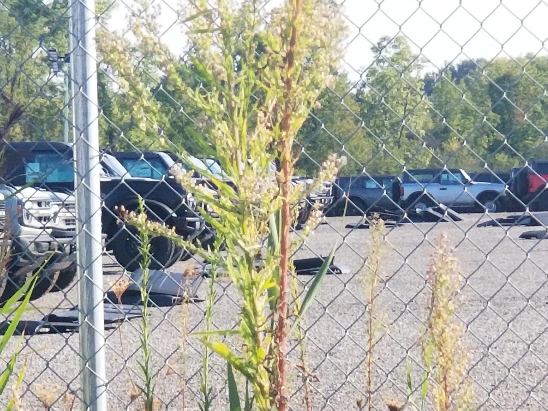 20210919_173431.jpg