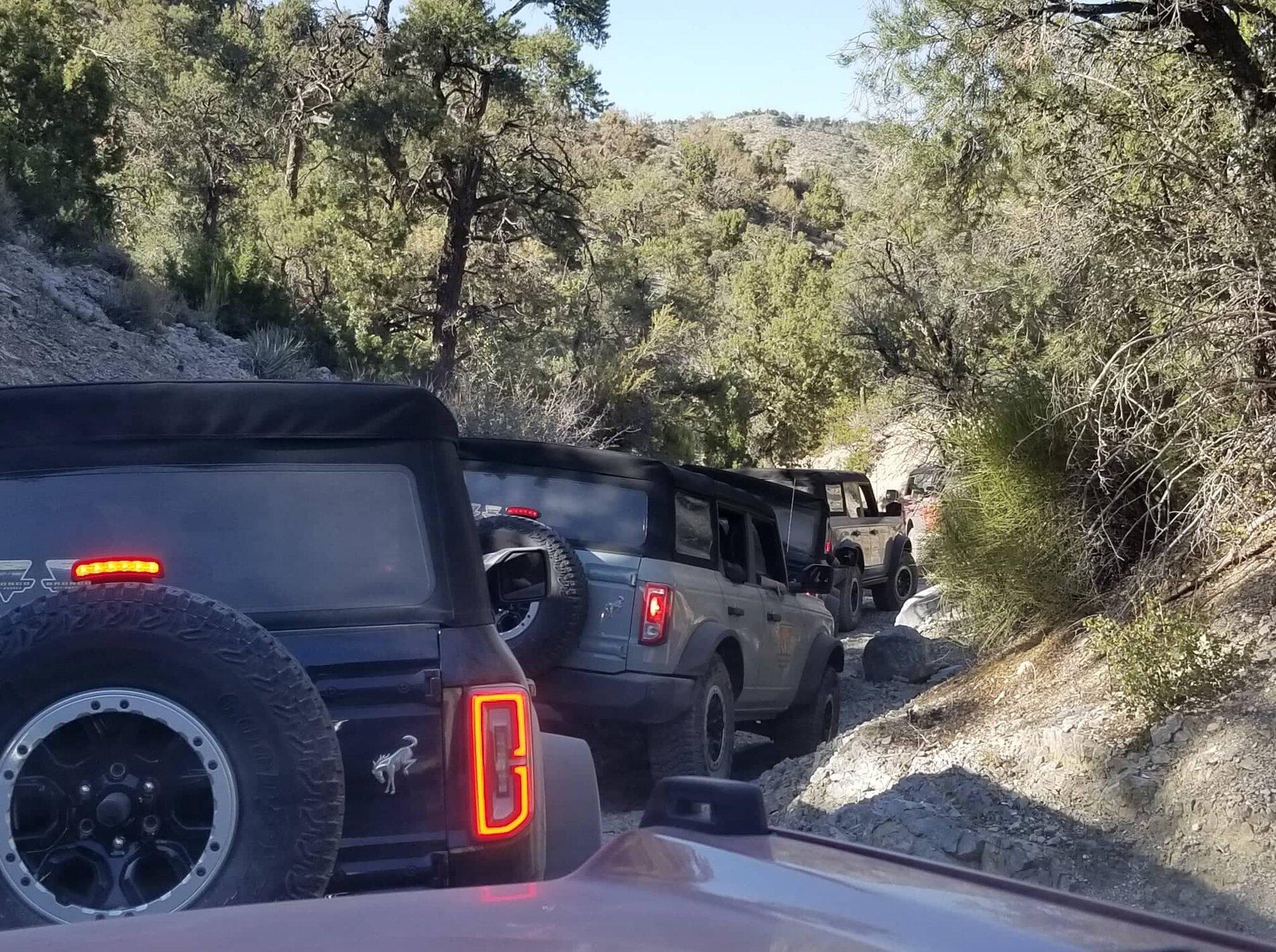 Ford Bronco Bronco Off-Rodeo off roadeo1