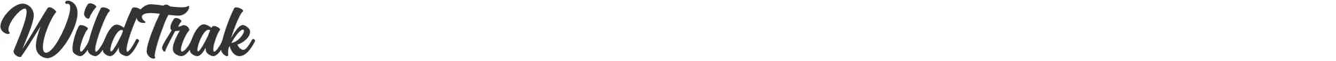 Ford Bronco Bronco Font ??? magneton bold slanted