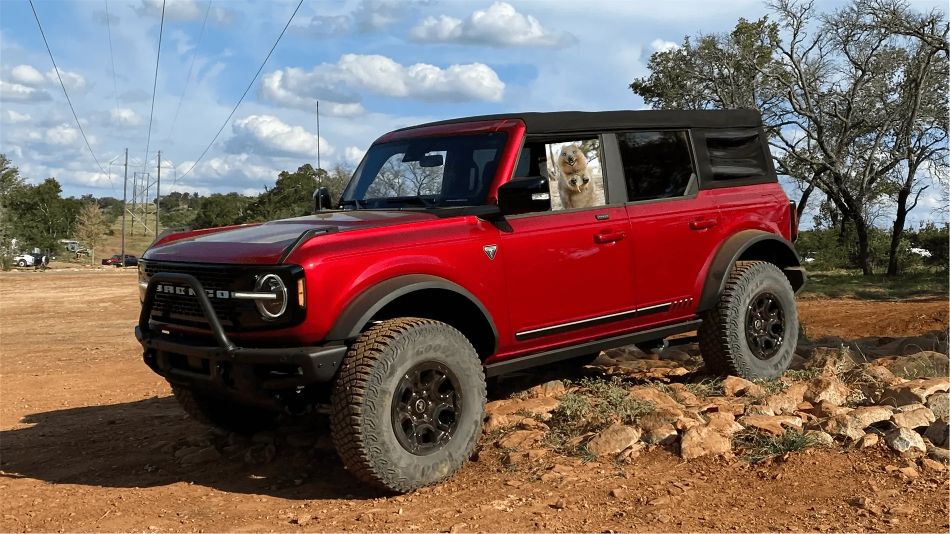 Ford Bronco Lilj4425’s therapy thread. 1633032261053