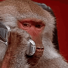 Ford Bronco What do you do if key fob damaged monkey-phone-call