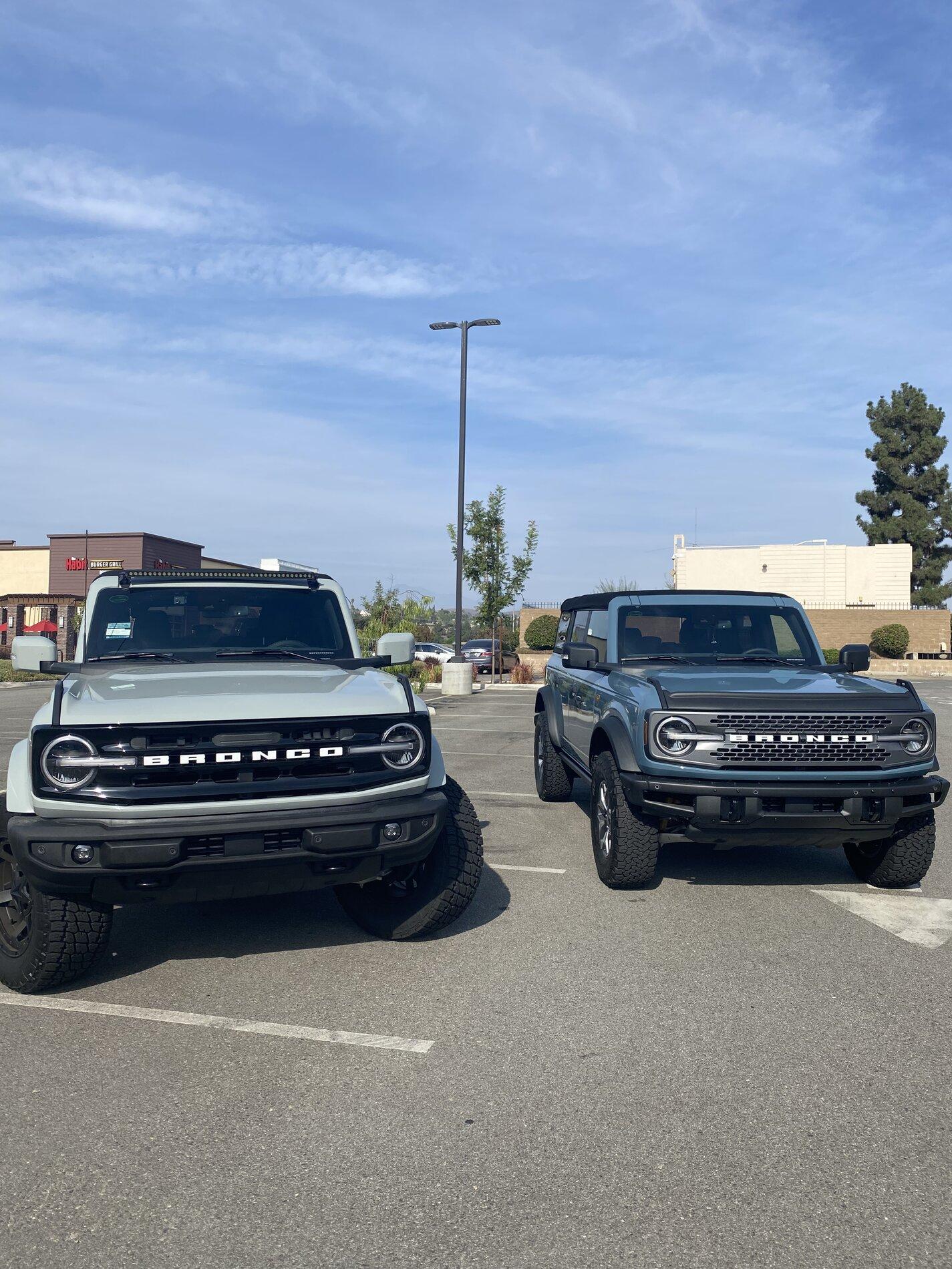 Ford Bronco Thunder and BlueChip Making Friends 8CB4D0FA-B67C-489C-9ACD-F1C502689374
