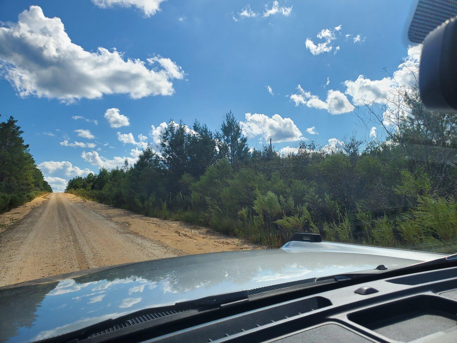 Ford Bronco Badlands - Ocala National Forest Run 20211009_152919