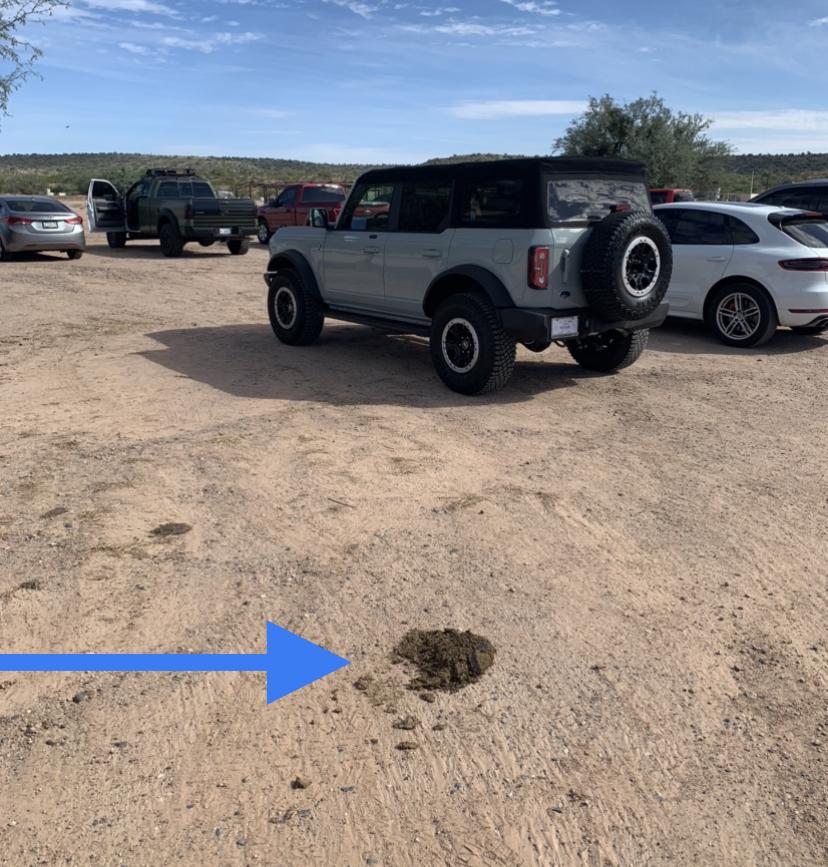 Ford Bronco Emissions concerns. Next recall? DD9CA9D0-991A-4F03-8372-7E633152B6AC