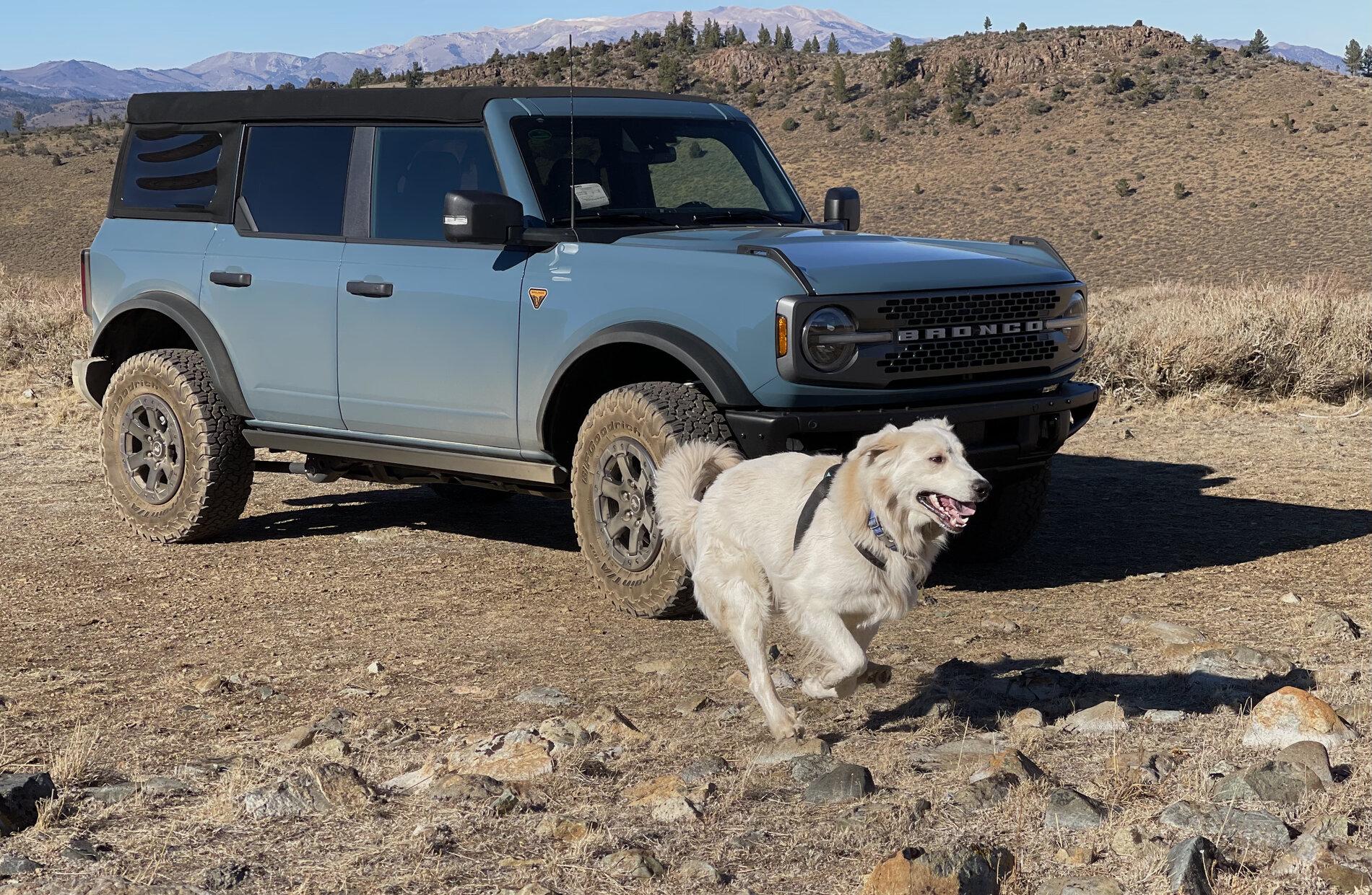 Ford Bronco AREA 51 Bronco Club A2765836-E049-44DD-ADE2-243306565F9F