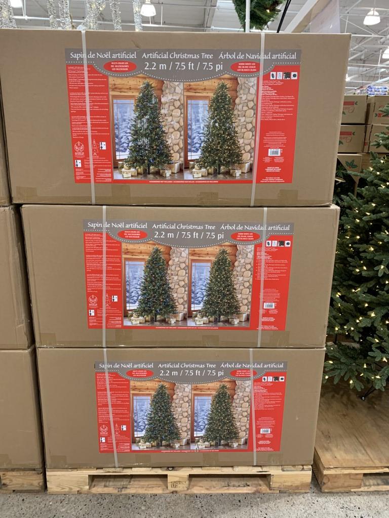 Ford Bronco Christmas Tree transporting with soft top 1634161248312