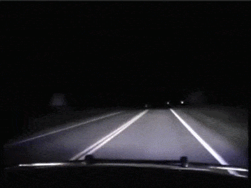 Ford Bronco Video:  Bronco Badlands hitting a deer 1634265312836