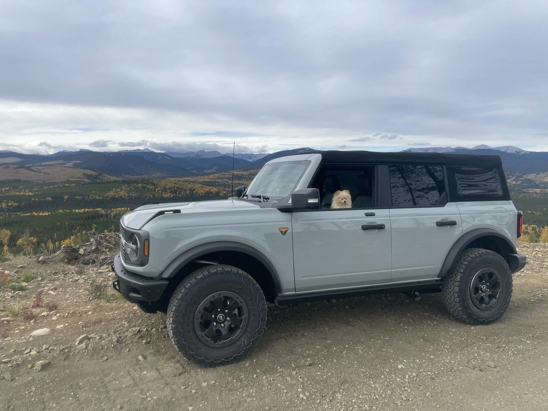 Ford Bronco Spotted thread - Calgary and Southern Alberta 8DCD54CB-3B68-42BE-8BB7-0E4CE05D923C
