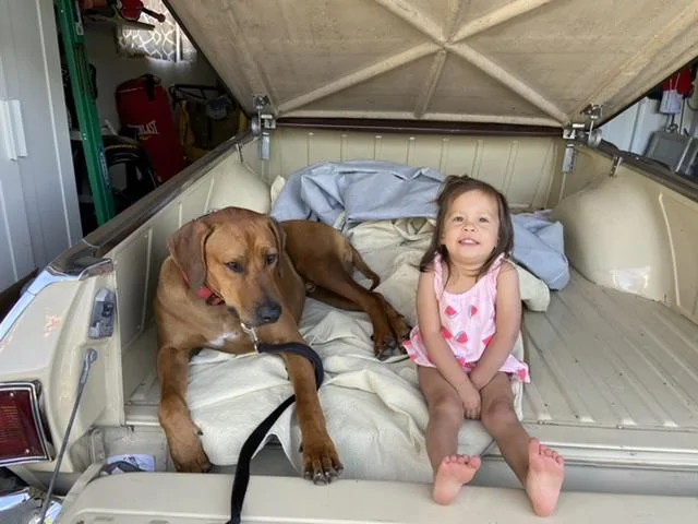 Ford Bronco The Dog Thread 🐾 7BD51370-A71B-45DB-92CA-B84E94A60A0A