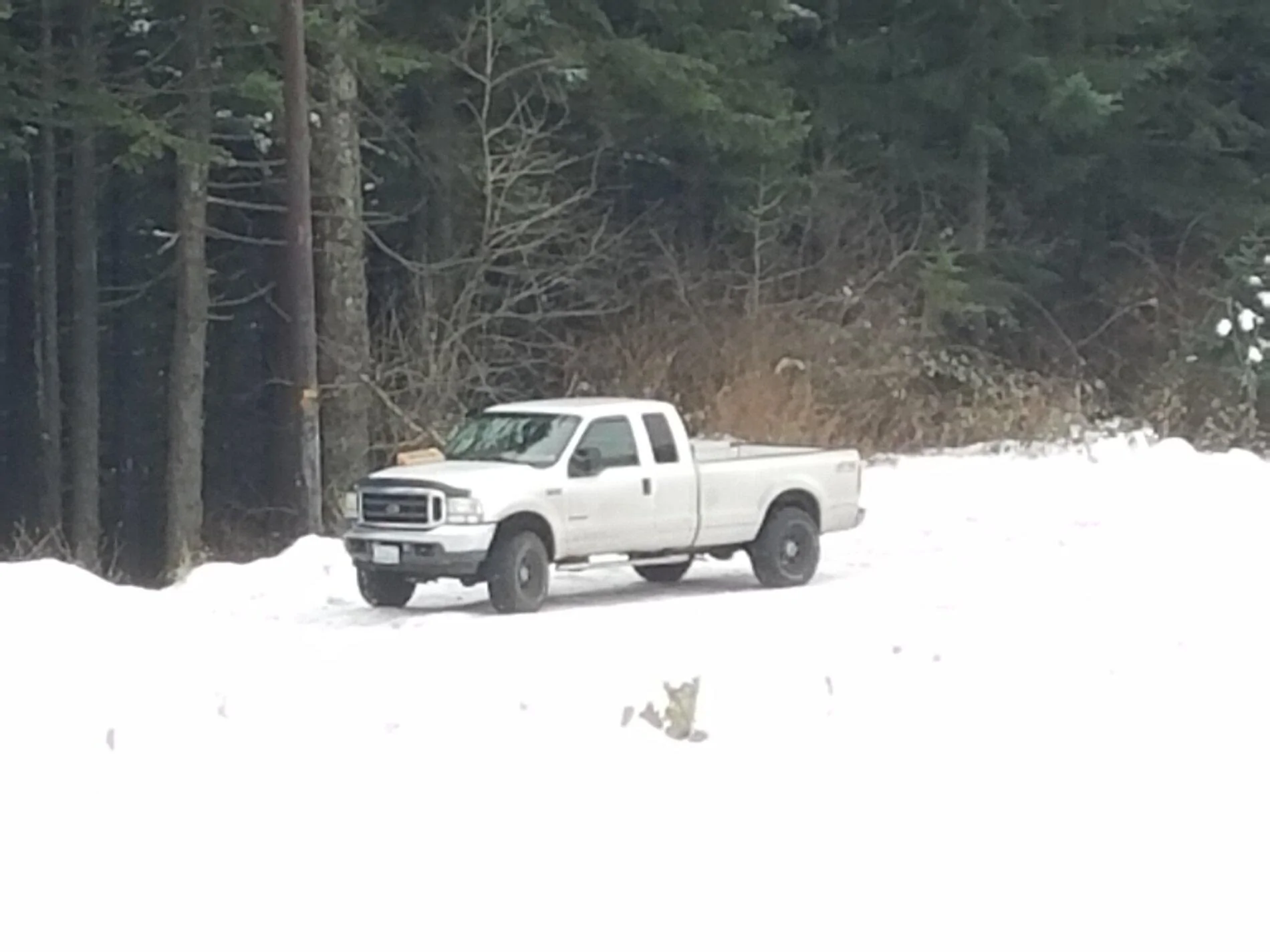 Ford Bronco sasquatch + snow 20161217_101130