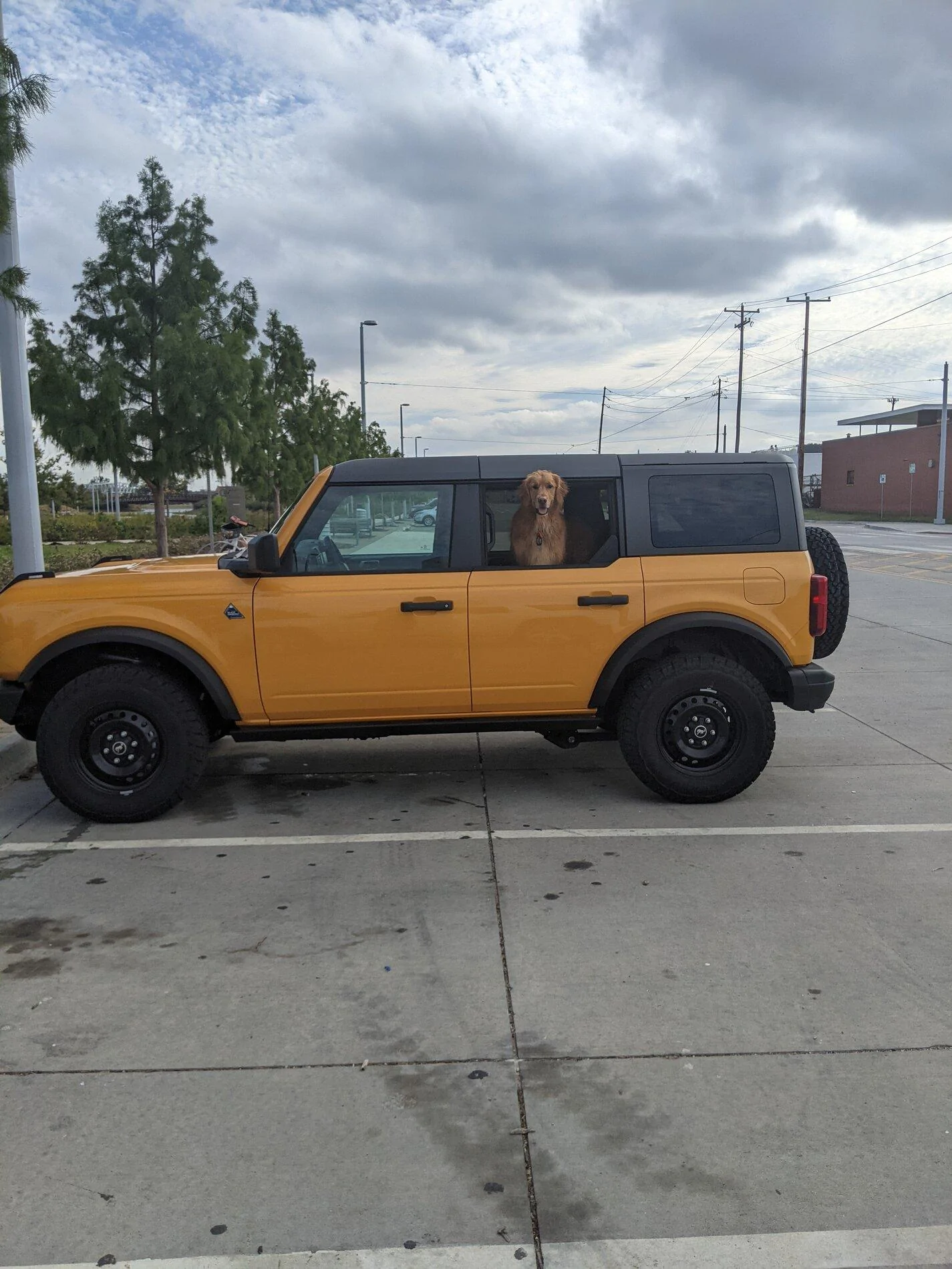 Ford Bronco *** DIRT MOUNTAIN Broncos - Built, Shipped, Delivered Tracker*** PXL_20211026_204319539
