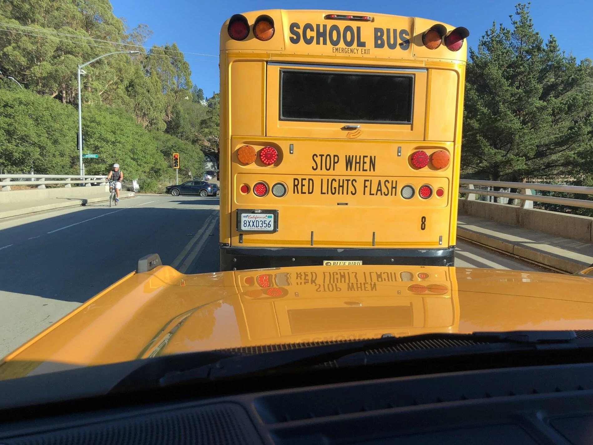 Ford Bronco Side by Side: School Bus vs CO Bronco 2F2DE428-52B4-45EC-A4B3-90DD3D7C60C8