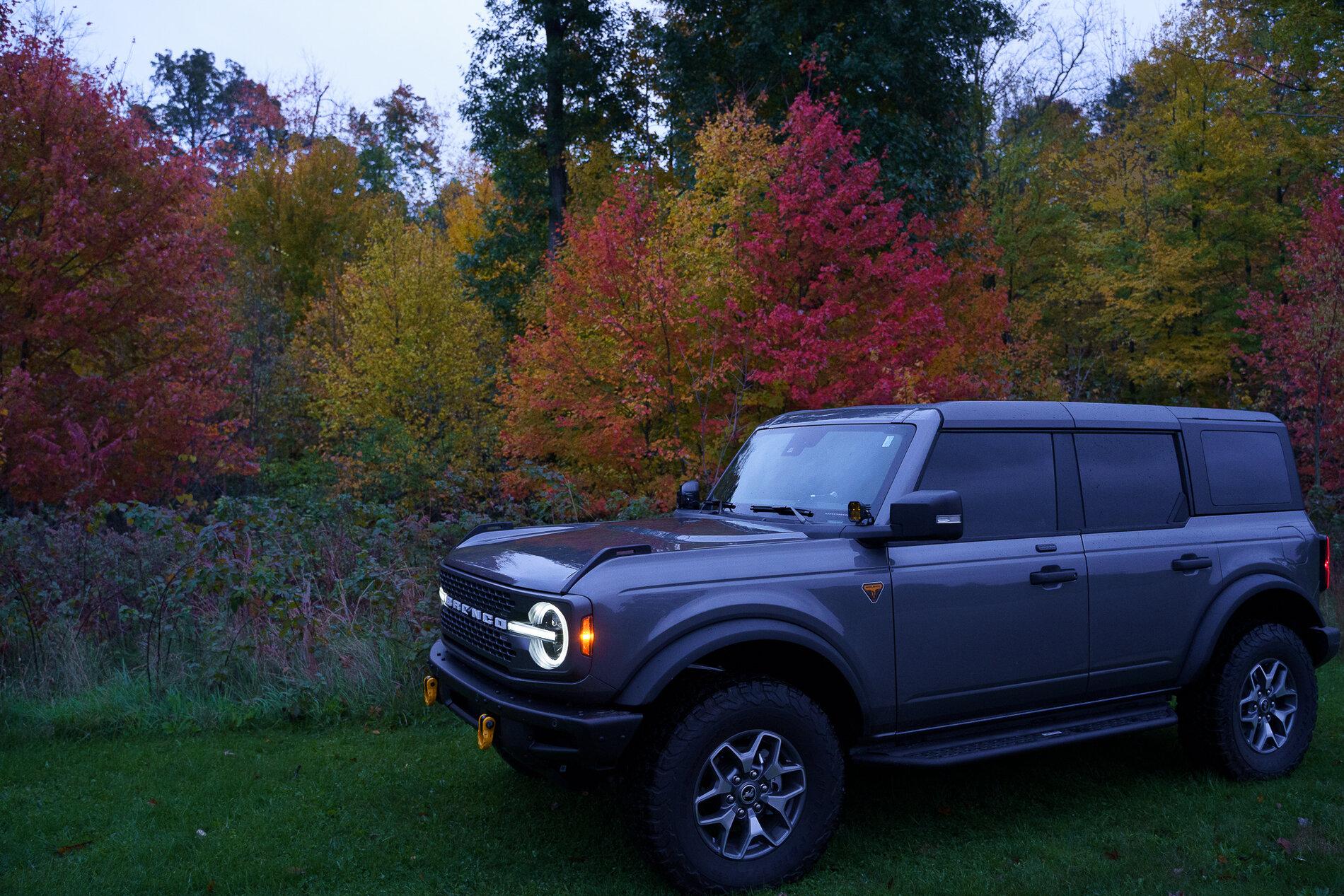 Ford Bronco Window tint Bronco Colors Profile