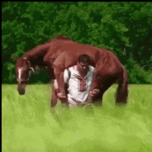Ford Bronco 🛠 8/2/21 build Week Thread horse-man-drunk-carrying-a-horse