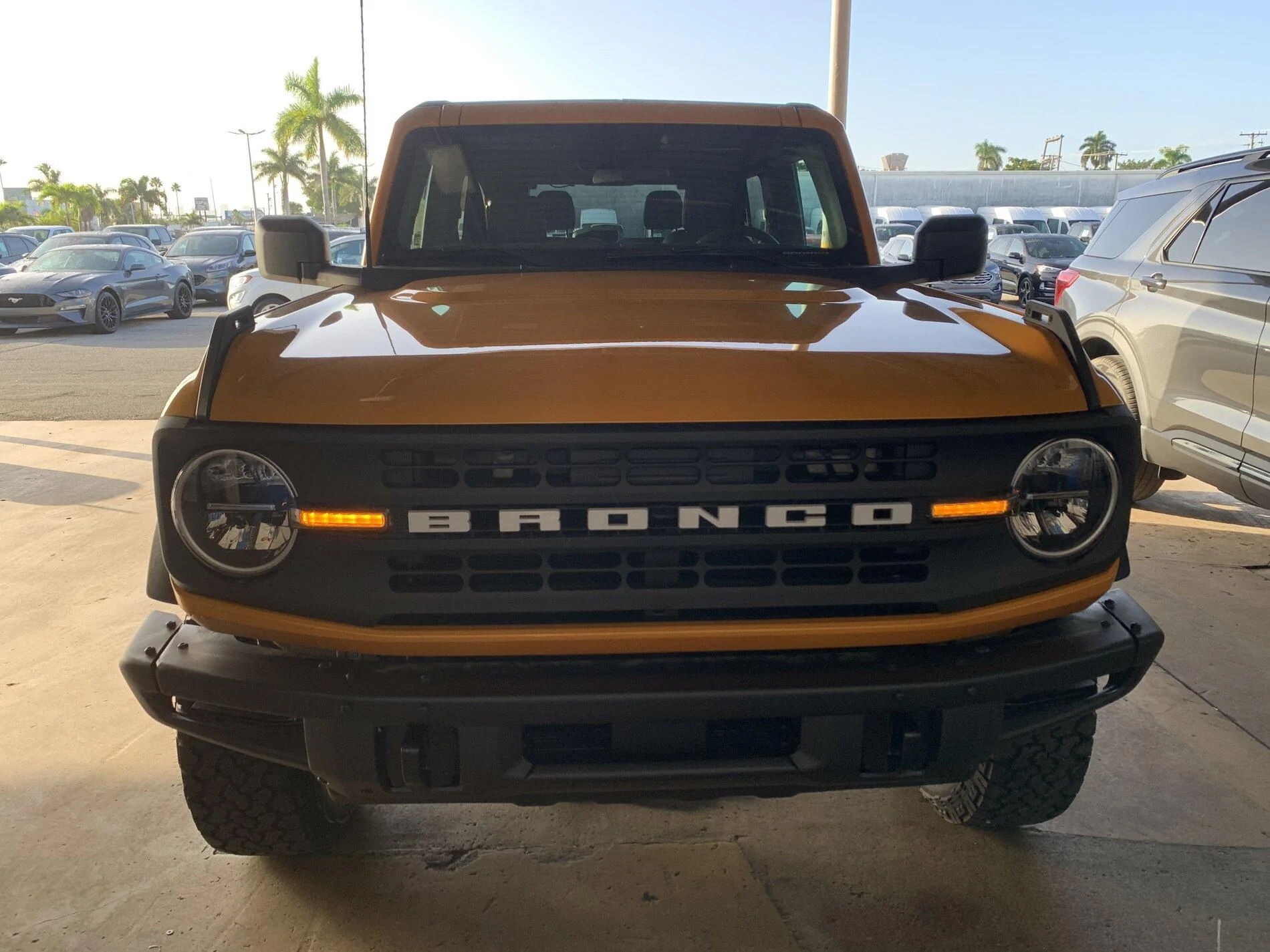 Ford Bronco Black Diamond Bronco Thread 770D8558-B7BC-4A09-BE9C-E73AC4974930
