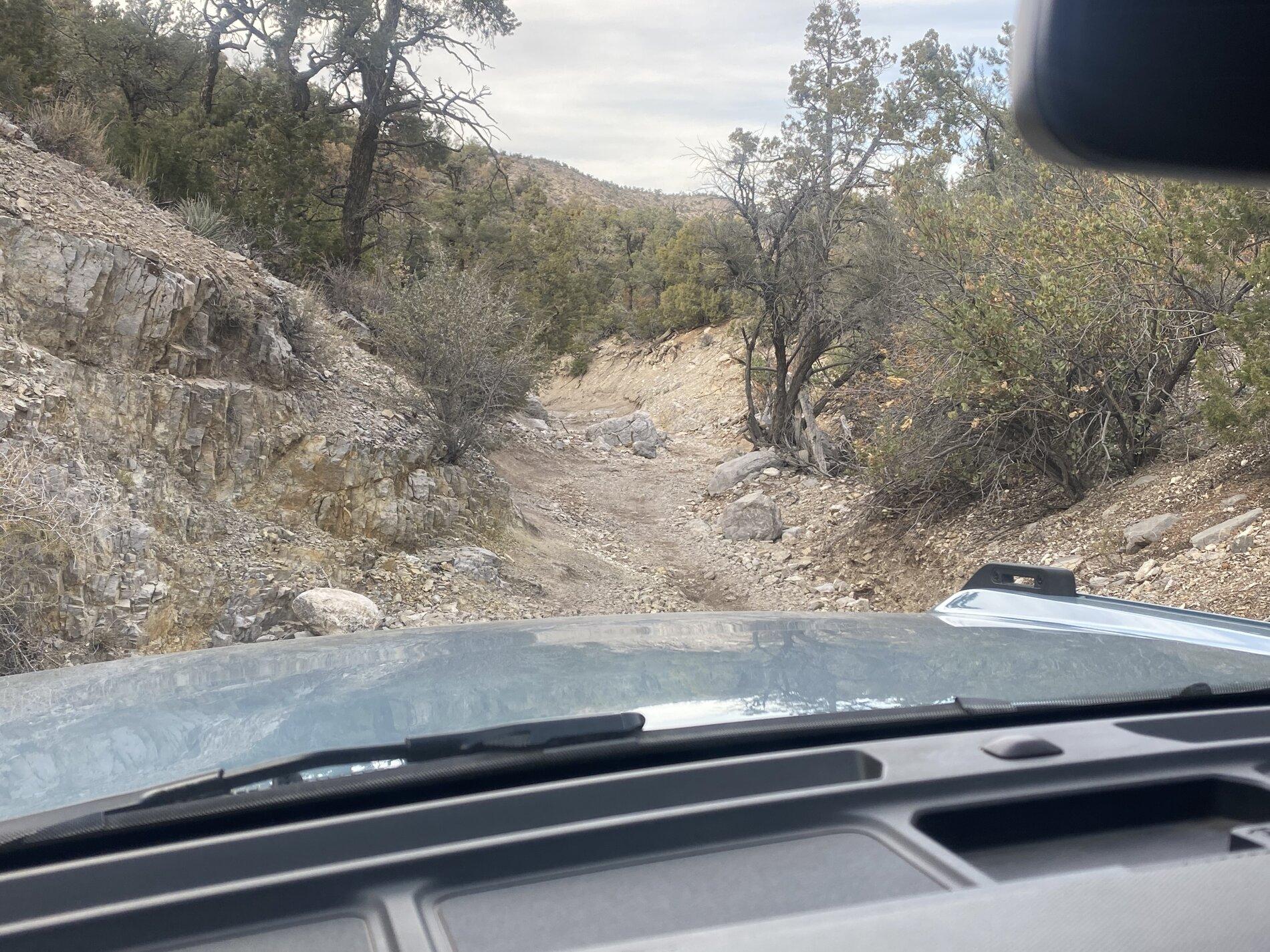 Ford Bronco Vegas! A8D164A4-B356-4E94-A405-3FA18803D87A