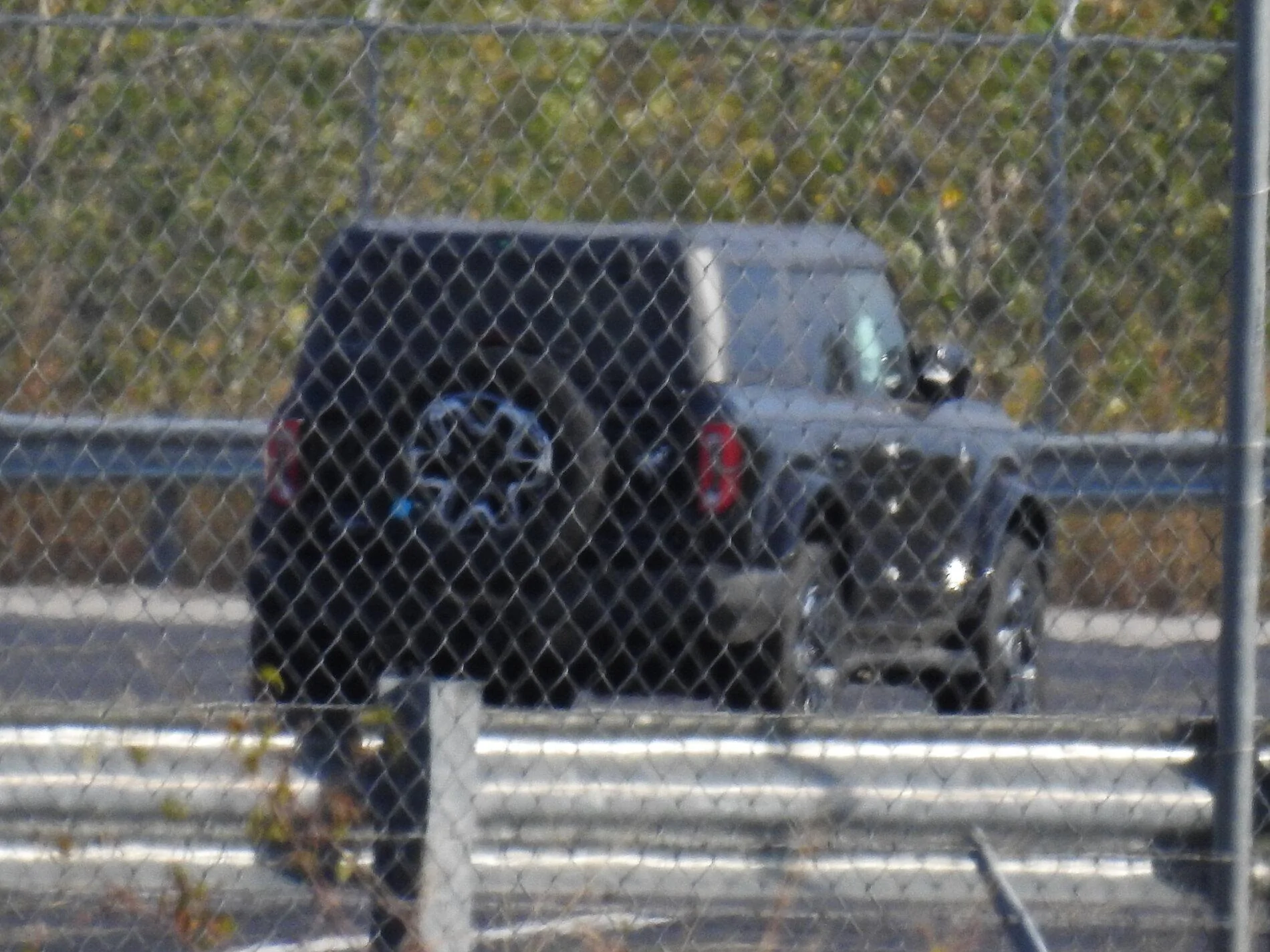 DSCN1968.JPG