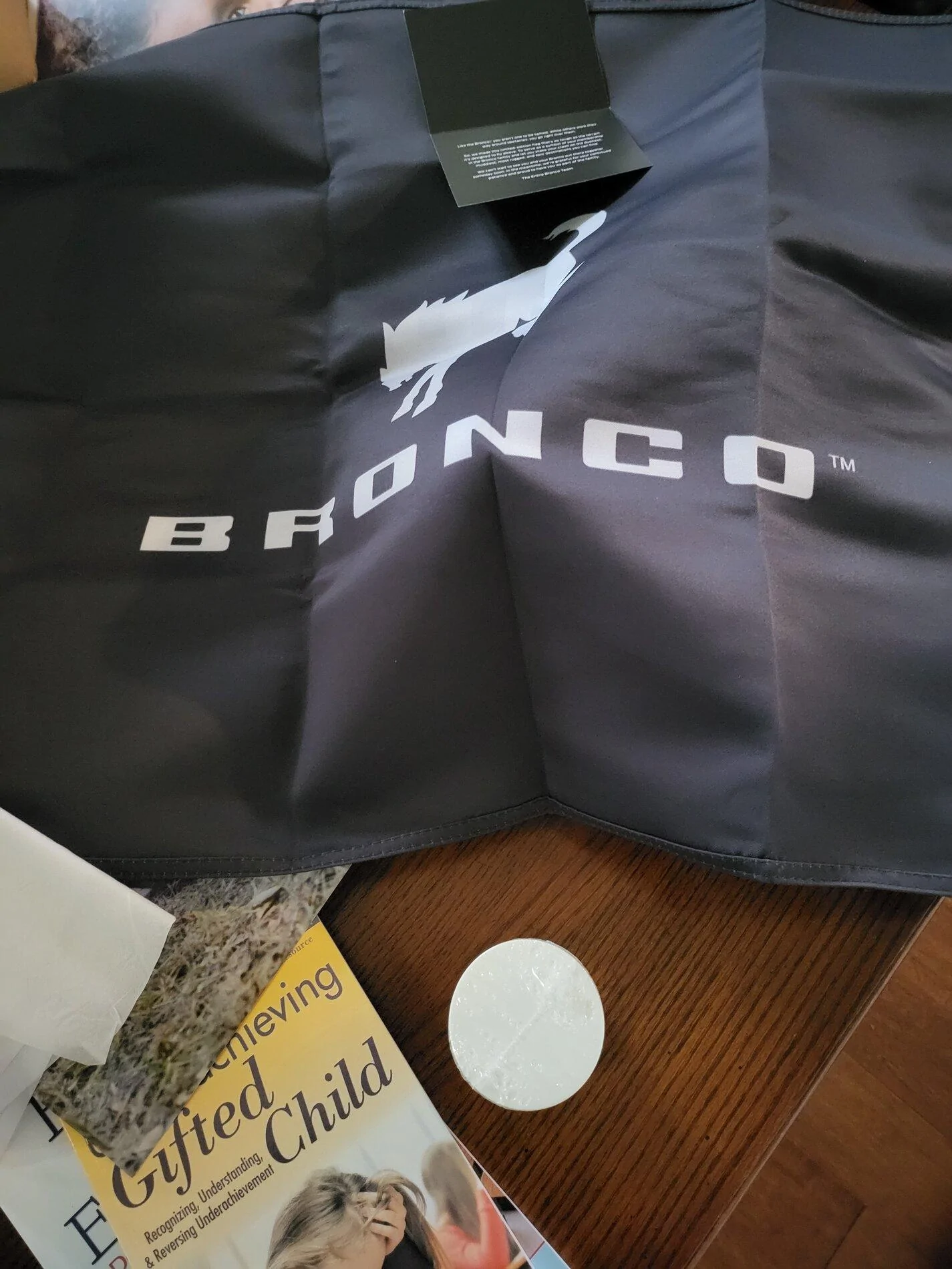 Ford Bronco New Gift arrived (mini Broncos) 16358824036775886968960299744393