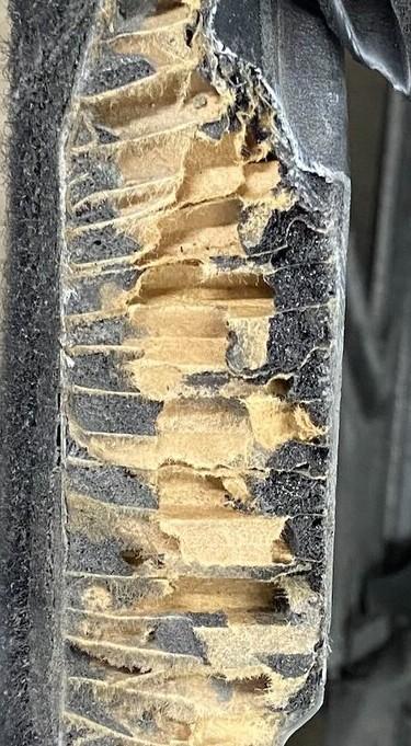 Ford Bronco MIC Top 1.0 inside construction & material (cross section) - pics Image (4)~3