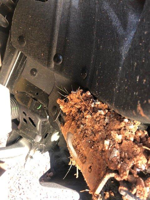 Ford Bronco 37x12.5r17 KM3s Sasquatch Badlands No Lift/Build Thread IMG_8250