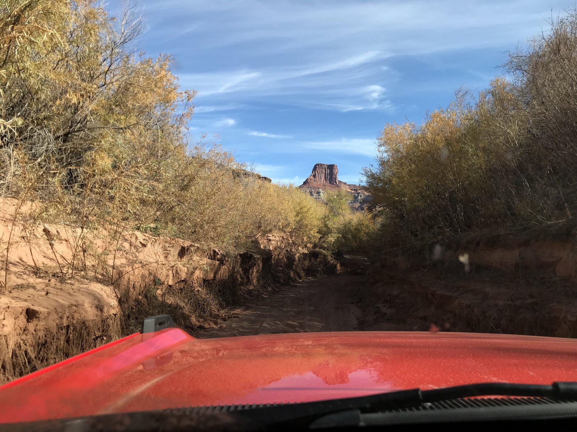 Ford Bronco Bronco Arrival~> Bronco Road Trip~> Bronco to Moab🗺📍🤠🏜 78D8C0B9-42C6-4829-92FB-DFCC3518F8D0