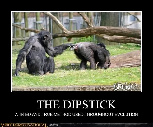 Ford Bronco Dipstick Pic? dipstick-hilarious-monkeys-wtf-5735643648