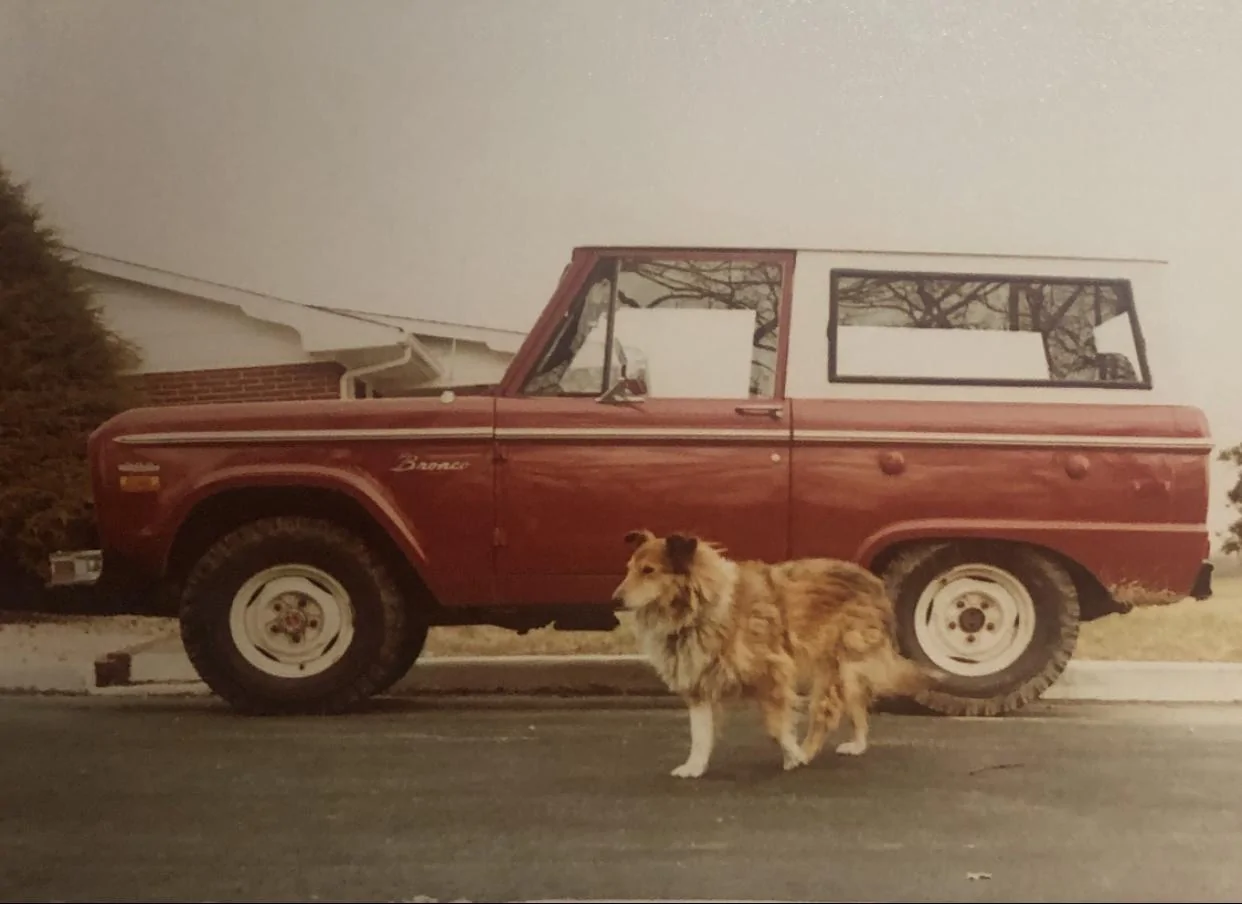 Ford Bronco Poll: Reason for Ordering A Bronco A4F2551C-4DDE-4D93-A1CA-F0D2FBB72F17