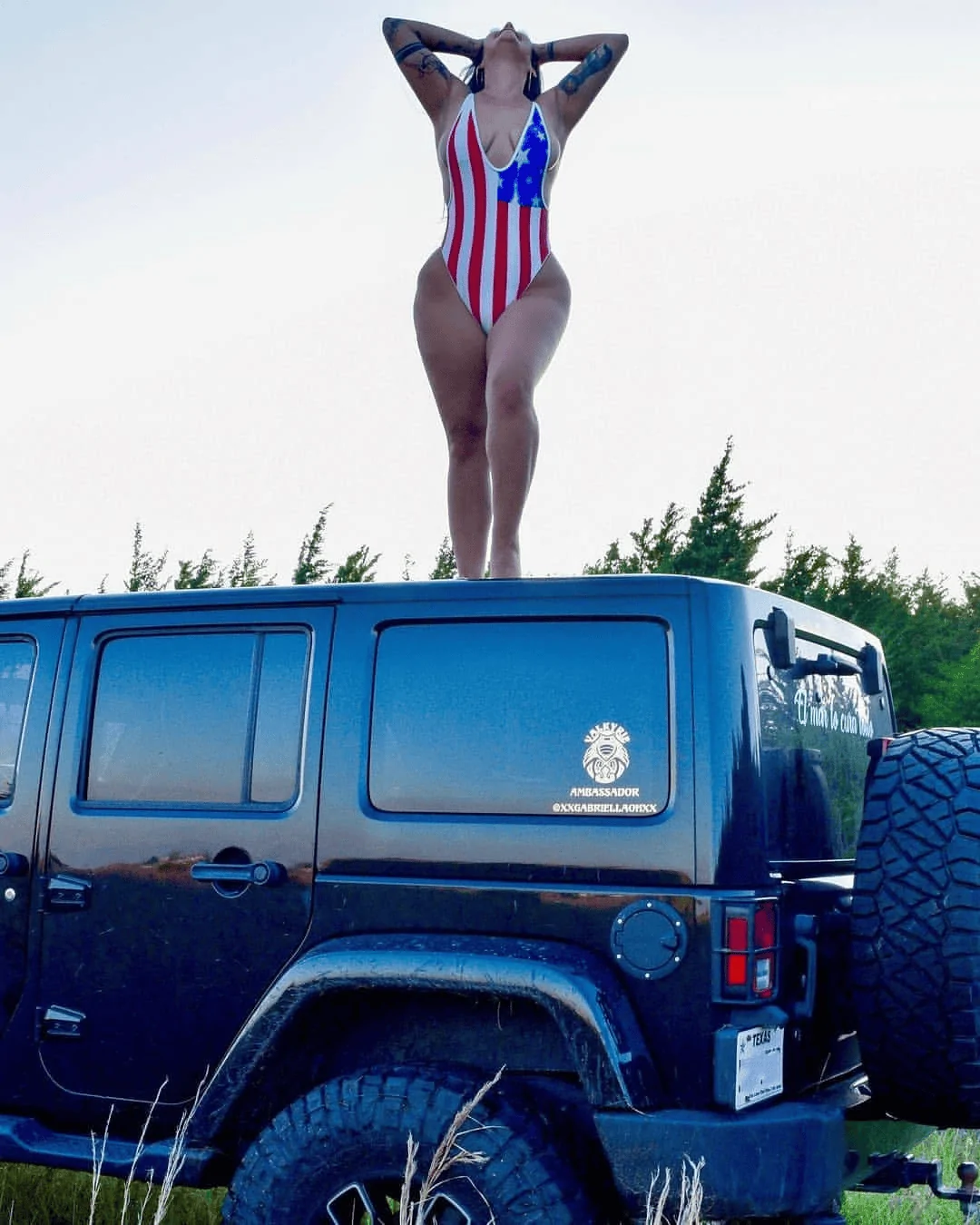 Ford Bronco Can our Hard Tops Hold this? 1636566852458